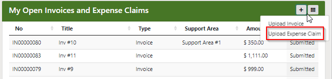 Upload Expense Claim Option Selection Help